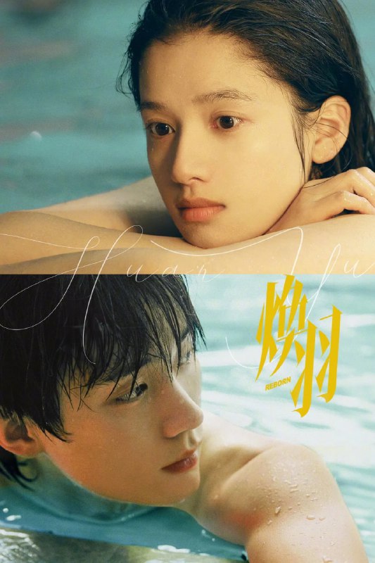 焕羽 (2025) 4K HDR 60fps【更至13集】