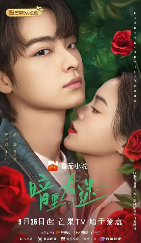 暗里着迷 (24集) 祝子杰&洪潇 | 微剧