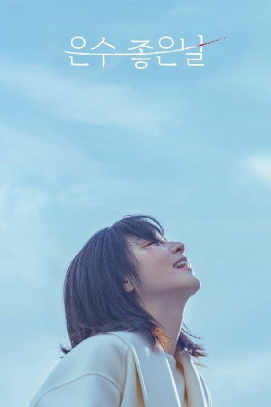 恩秀的好日子 (2025) 更至第7集 1080P · SDR · 3.5GB/集 内封中字