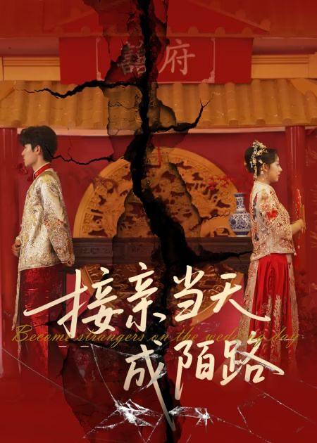 接亲当天成陌路（50集） /最新 短剧