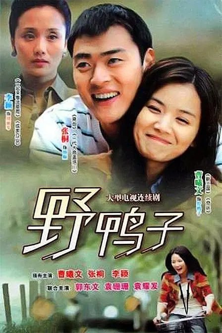 野鸭子 (2011)