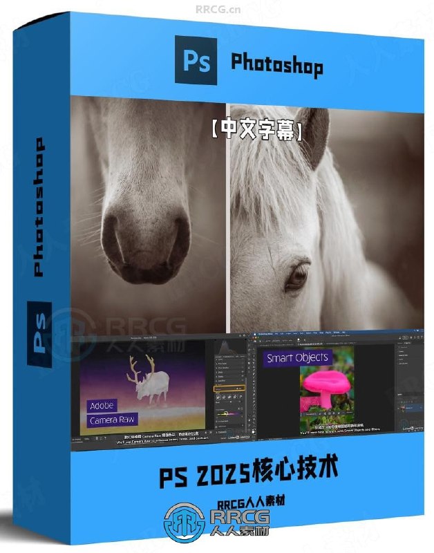 Photoshop2025全面核心技术训练教程【中文字幕】