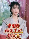重生后神医王妃要休夫（86集）宋恺|短剧