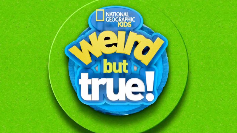 趣味儿童科普节目《国家地理真实见闻  Weird But True! (1-3季) 》