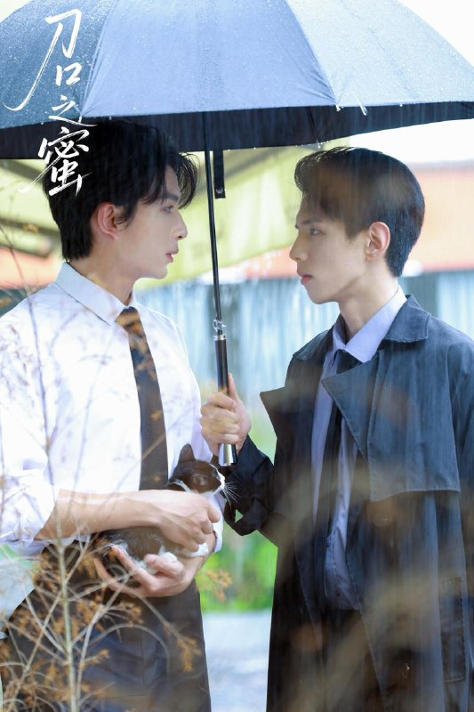 2025年11月5日 短剧合集目录10