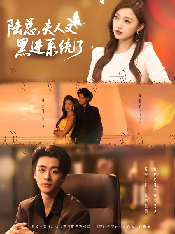 陆总夫人又黑进系统了 (81集) 纪俊良&戚羽佳 | 短剧