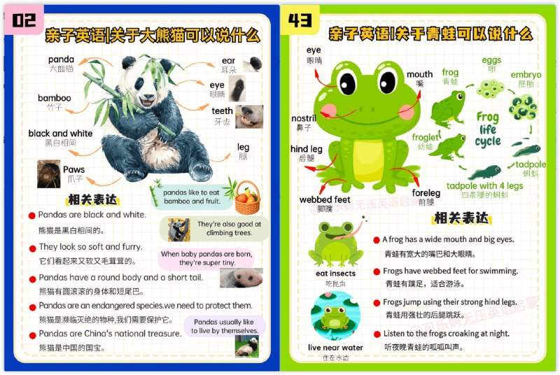 可乐妈无压英语启蒙帮助孩子开口说英语 ，英语初学者也可以学习。 英语启蒙思维导图+音频
