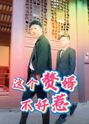 这个赘婿不好惹（27集）|短剧