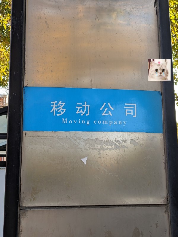 21天TED英语精炼团【学习资料】