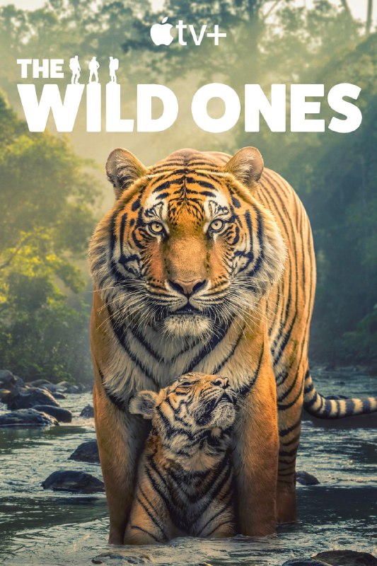 野性生灵 The Wild Ones (2025) 4K高码.内封简繁英（全 6 集）