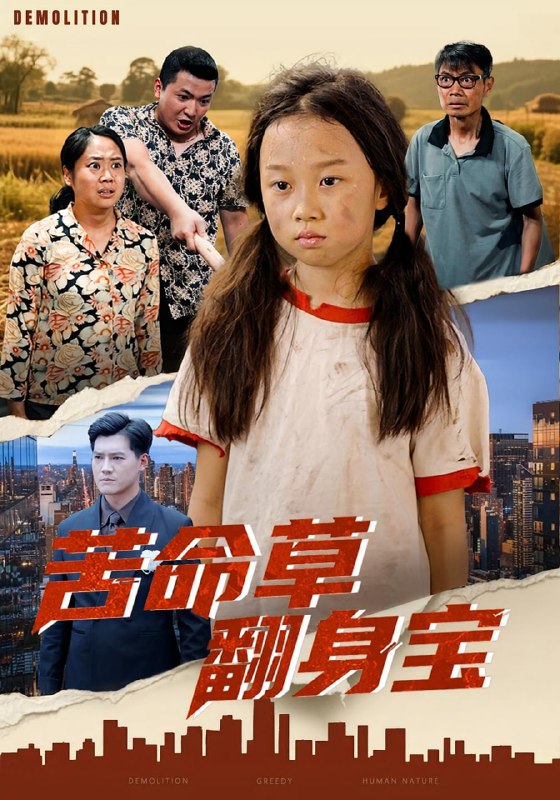 苦命草翻身宝（62集）朱钰琪&何强|短剧