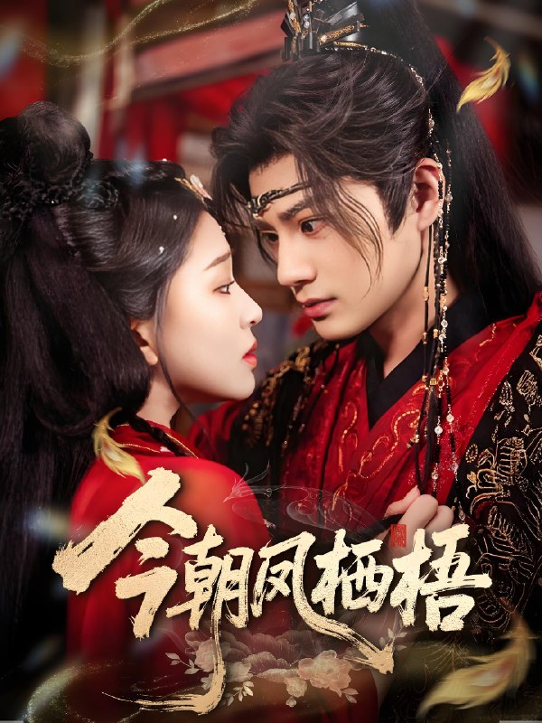 今朝凤栖梧 (68集) 柳甯&韩录锦 | 短剧