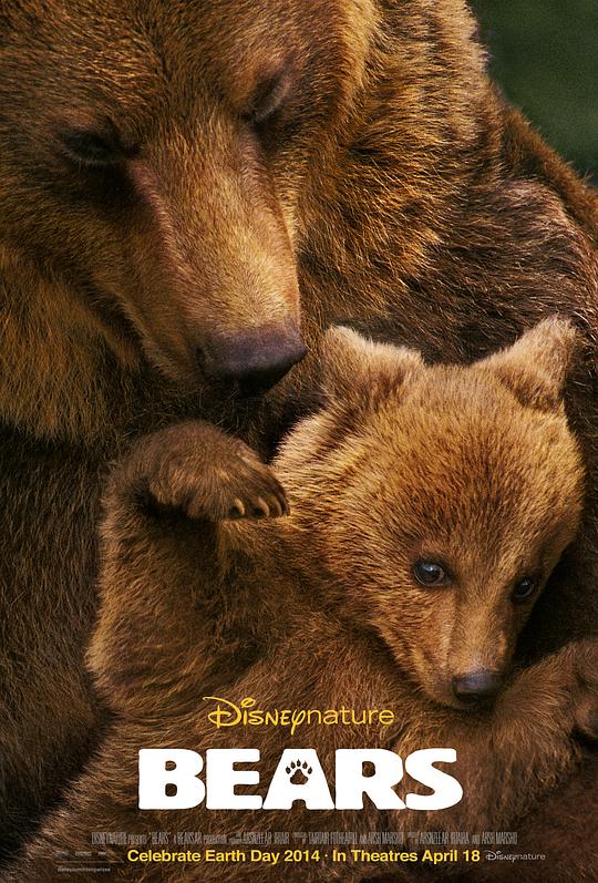 熊世界 Bears (2014) 1080p 原盘Remux 中文字幕 【19.42GB】已刮削