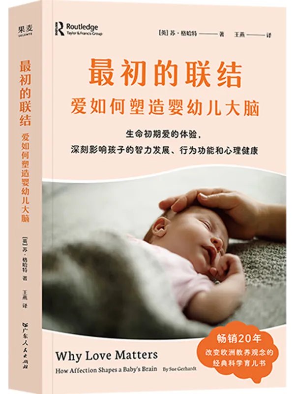 最初的联结爱如何塑造婴幼儿大脑