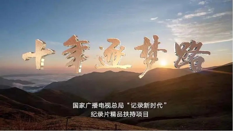 十年逐梦路 (2022)