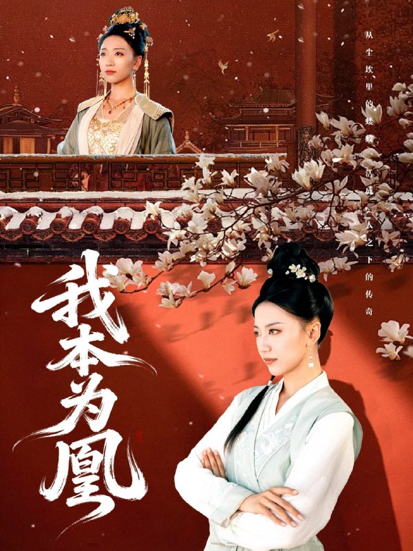 我本为凰（82集）傅宇航&刘继徽|短剧
