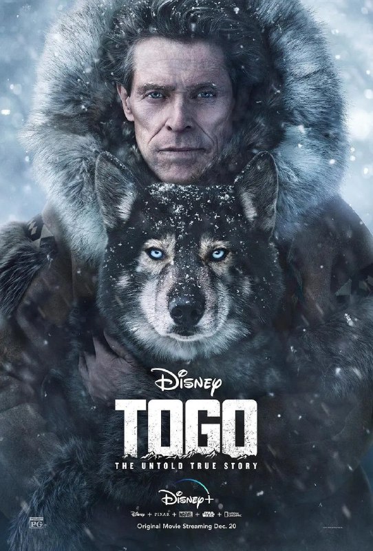 多哥 Togo (2019) 4K WEB-DL 国粤英多音轨 中文字幕 杜比视界 H265 DDP 5.1 Atmos