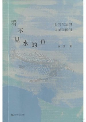 《看不见水的鱼：日常生活的人类学瞬间》（pdf）