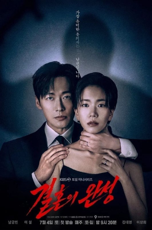 婚姻之后(2026)【12集全】【WEB-DL.1080p】【内封简繁英】【爱情/惊悚】