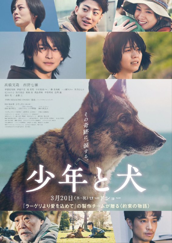 少年与犬 少年と犬 (2025) 高桥文哉/西野七濑/伊原六花/伊藤健太郎/宫内瞳/柄本明/斋藤工  1080p内嵌官方中字【日影 】