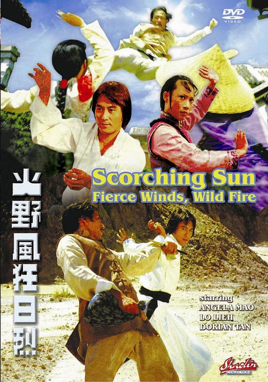 烈日狂风野火 烈日狂風野火 (1979) 1080p 原盘Remux 中文字幕 【10.61GB】已刮削