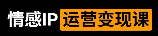 《情感IP运营变现课》