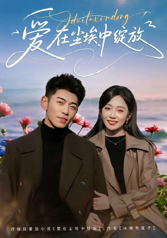 爱在尘埃中绽放（86集）李泉成＆姚宇晨|短剧