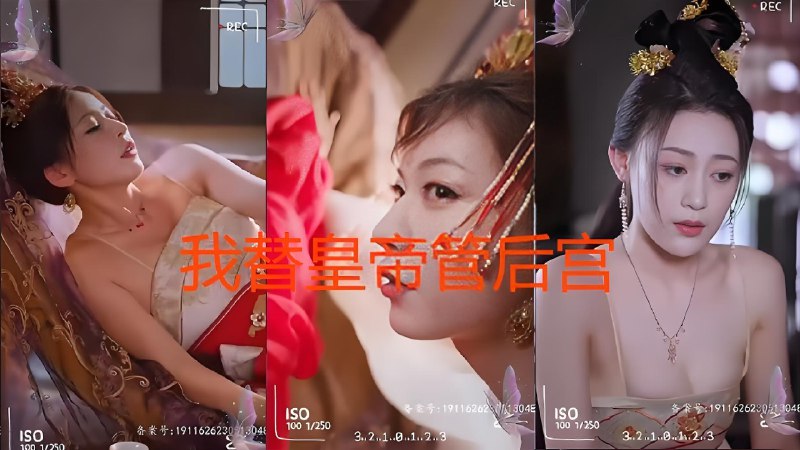 我替皇帝管后宫 (99集) | 短剧