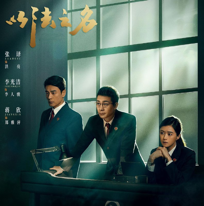 以法之名 (2025) 更至06集 4K高码 已刮削