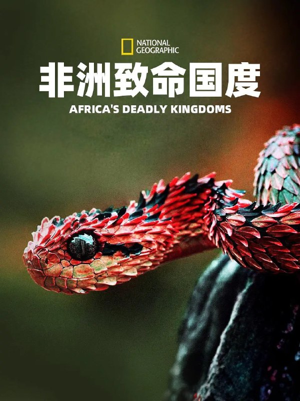 非洲致命国度 Africa's Deadly Kingdom (2018)