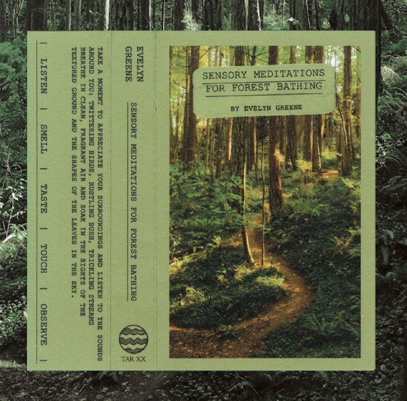 Evelyn Greene - Sensory Meditations For Forest Bathing (2025) FLAC 24bit 44kHz