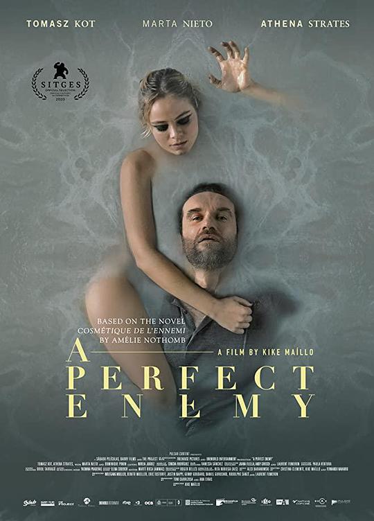 完美敌人 A Perfect Enemy (2021) 1080p 原盘Remux 中文字幕 【20.49GB】已刮削