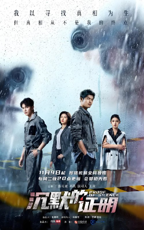 沉默的证明 (12集) 盛英豪&康可人 | 国产剧