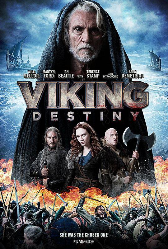 维京命运 Viking Destiny (2018) 1080p 原盘Remux 中文字幕 【14.84GB】已刮削