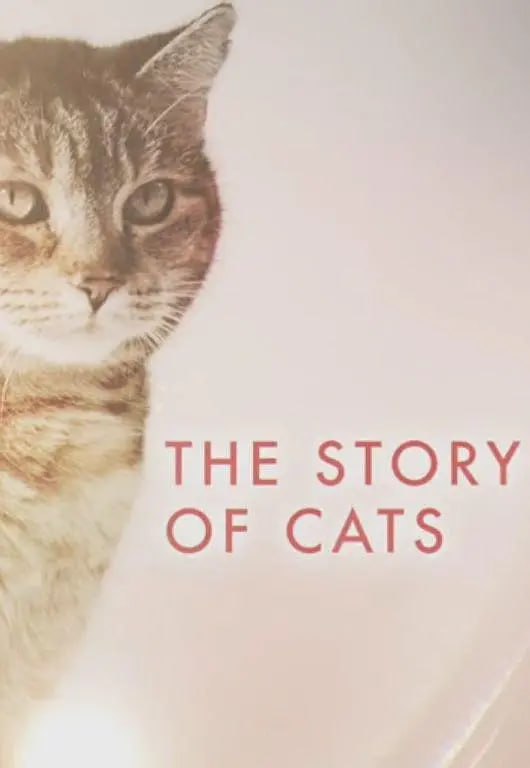 猫科动物的故事 The Story of Cats (2016)