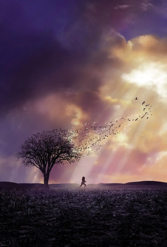 可爱的骨头 The Lovely Bones (2009)