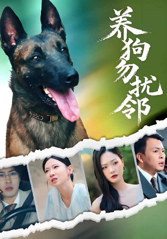 养狗勿扰邻 (31集) 芊翊&韩清樾 | 短剧