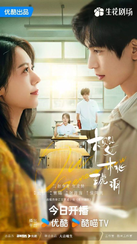 樱桃琥珀 (2025)4K更新至17集