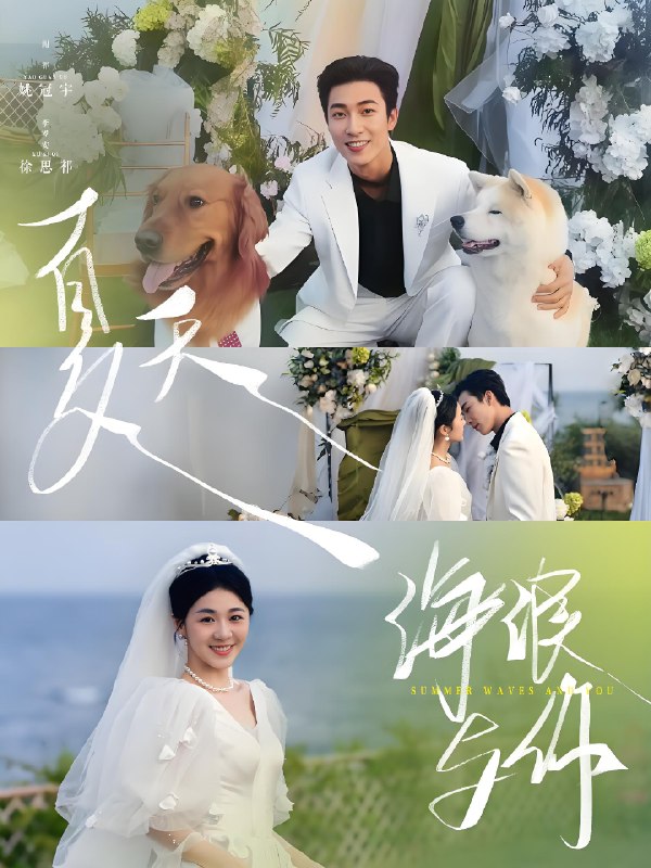 夏天海浪与你 (76集) 徐思祁 | 短剧