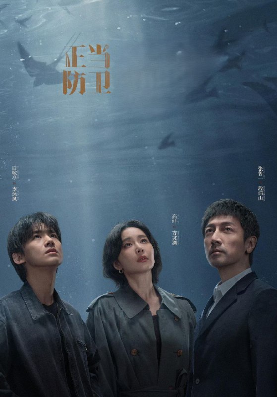 正当防卫 (2025) 已刮削 更新至E09 易和谐