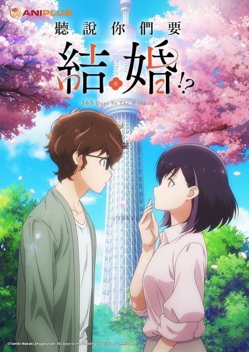 真的要结婚吗 (2024) 1080P 全集 中字内嵌字幕