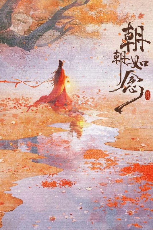 朝朝如念（2025）已刮削 4k 更新至E09