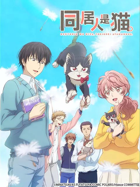 同居人是猫 同居人はひざ、時々、頭のうえ。 (2019)