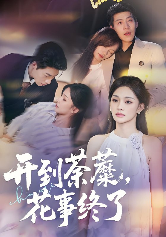 开到荼蘼花事终了 (77集) 靳宇阳&王为洋 | 短剧