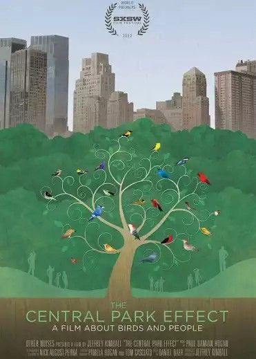 观鸟者:中央公园效应 (2012) 1080P 种子硬字幕