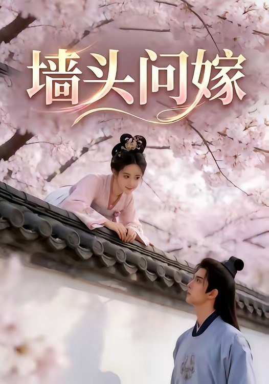 墙头问嫁 (29集) | 短剧