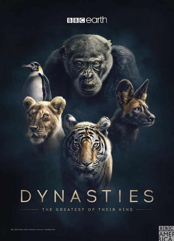 王朝 第一季 Dynasties Season 1 (2018)