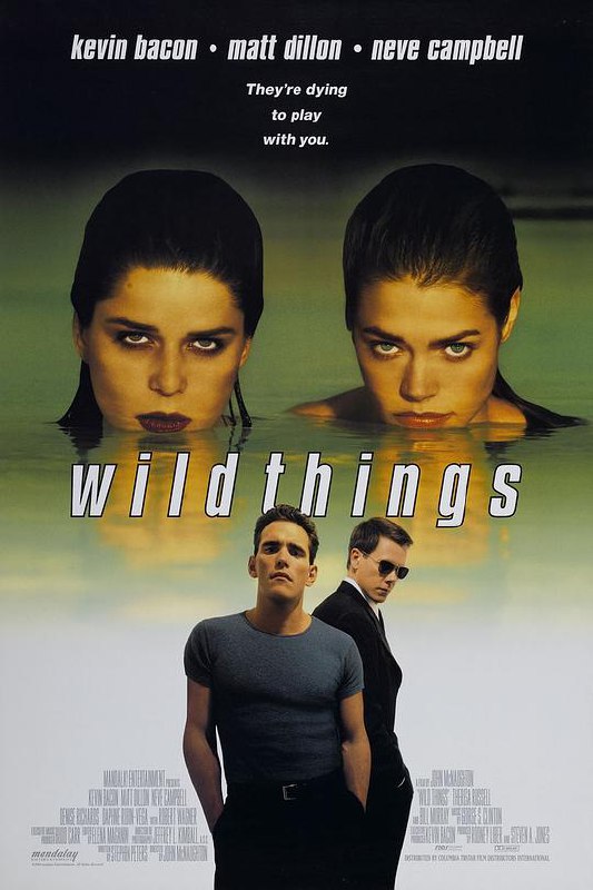 玩尽杀绝 Wild Things (1998) 4K/2160p 原盘Remux 中文字幕 【72.94GB】已刮削