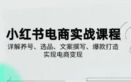 戴小胖小红书电商实操课