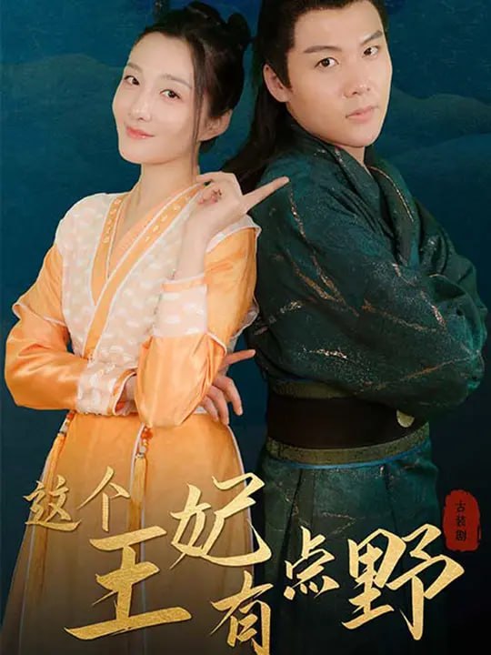 这个王妃有点野（100 集）樊明宇 & 田力冰